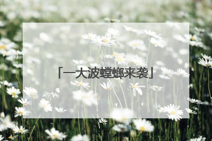 一大波螳螂来袭