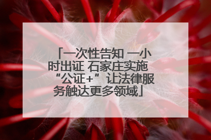 一次性告知 一小时出证 石家庄实施“公证+”让法律服务触达更多领域