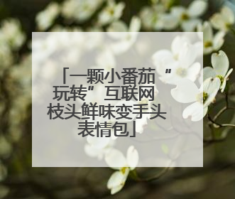 一颗小番茄“玩转”互联网 枝头鲜味变手头表情包