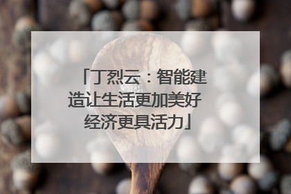 丁烈云：智能建造让生活更加美好 经济更具活力