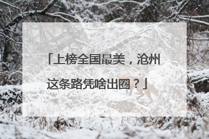 上榜全国最美，沧州这条路凭啥出圈？