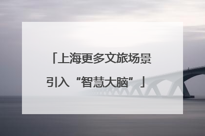上海更多文旅场景引入“智慧大脑”