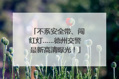 不系安全带、闯红灯……德州交警最新高清曝光！