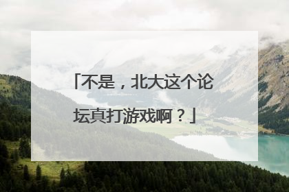 不是，北大这个论坛真打游戏啊？
