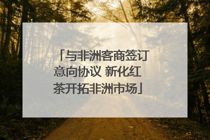 与非洲客商签订意向协议 新化红茶开拓非洲市场