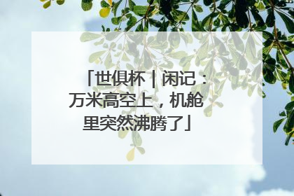 世俱杯｜闲记：万米高空上，机舱里突然沸腾了