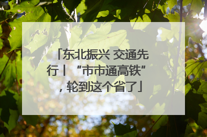 东北振兴 交通先行丨“市市通高铁”，轮到这个省了