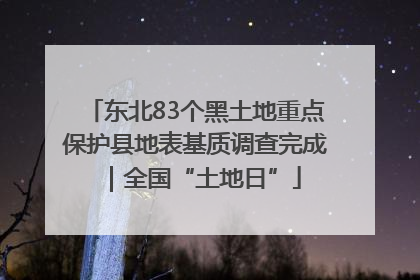 东北83个黑土地重点保护县地表基质调查完成｜全国“土地日”