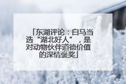 东湖评论：白马当选“湖北好人”，是对动物伙伴道德价值的深情褒奖