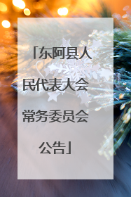 东阿县人民代表大会常务委员会公告