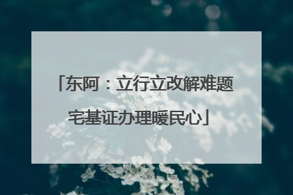 东阿：立行立改解难题 宅基证办理暖民心