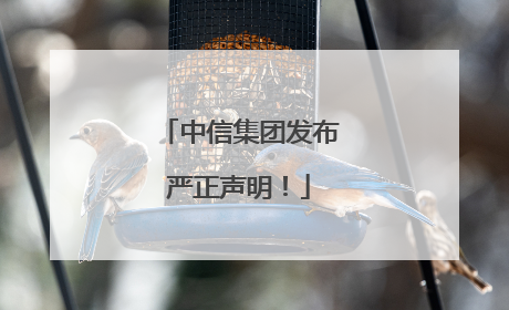 中信集团发布严正声明！