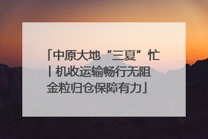中原大地“三夏”忙丨机收运输畅行无阻 金粒归仓保障有力