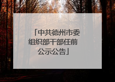 中共德州市委组织部干部任前公示公告