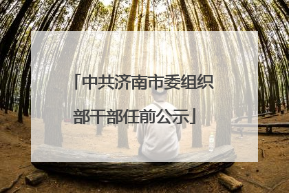 中共济南市委组织部干部任前公示