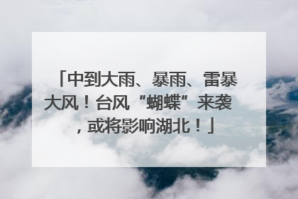 中到大雨、暴雨、雷暴大风！台风“蝴蝶”来袭，或将影响湖北！