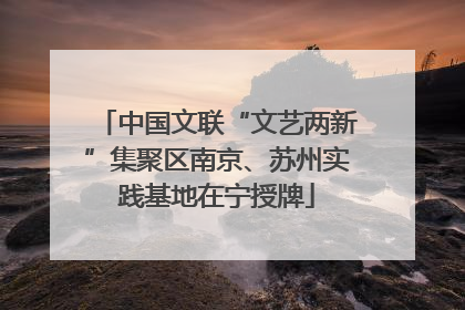 中国文联“文艺两新”集聚区南京、苏州实践基地在宁授牌