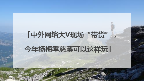 中外网络大V现场“带货”，今年杨梅季慈溪可以这样玩