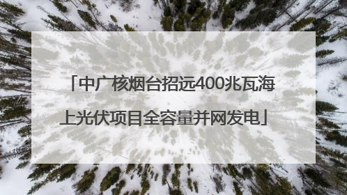 中广核烟台招远400兆瓦海上光伏项目全容量并网发电