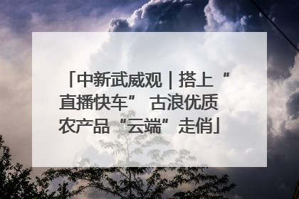 中新武威观｜搭上“直播快车” 古浪优质农产品“云端”走俏