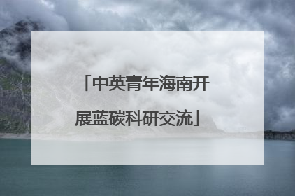 中英青年海南开展蓝碳科研交流