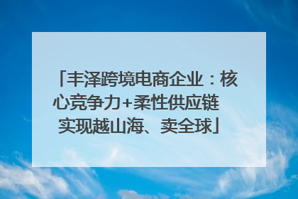 丰泽跨境电商企业：核心竞争力+柔性供应链 实现越山海、卖全球