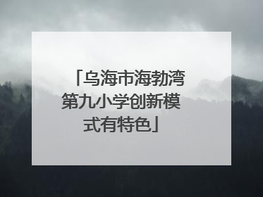 乌海市海勃湾第九小学创新模式有特色