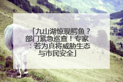 九山湖惊现鳄鱼？部门紧急巡查！专家：若为真将威胁生态与市民安全