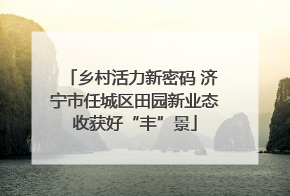 乡村活力新密码 济宁市任城区田园新业态收获好“丰”景