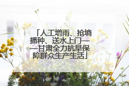 人工增雨、抢墒播种、送水上门——甘肃全力抗旱保障群众生产生活
