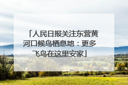 人民日报关注东营黄河口候鸟栖息地：更多飞鸟在这里安家