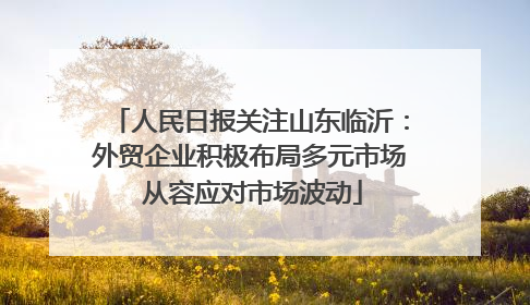 人民日报关注山东临沂：外贸企业积极布局多元市场 从容应对市场波动