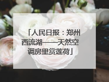 人民日报：郑州西流湖——天然空调房里赏莲荷
