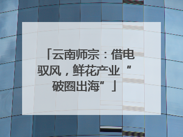 云南师宗：借电驭风，鲜花产业“破圈出海”