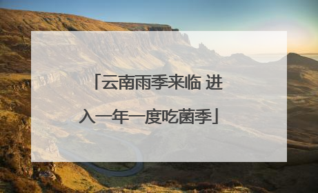 云南雨季来临 进入一年一度吃菌季