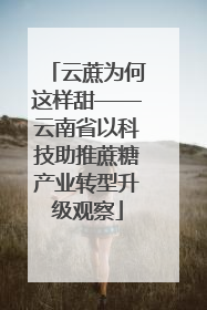 云蔗为何这样甜——云南省以科技助推蔗糖产业转型升级观察