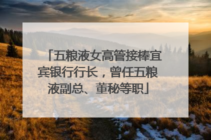 五粮液女高管接棒宜宾银行行长，曾任五粮液副总、董秘等职