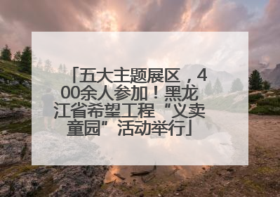 五大主题展区，400余人参加！黑龙江省希望工程“义卖童园”活动举行