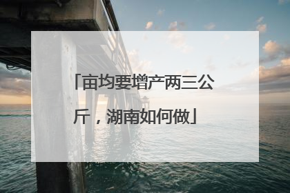 亩均要增产两三公斤，湖南如何做
