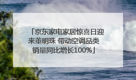 京东家电家居惊喜日迎来董明珠 带动空调品类销量同比增长100%