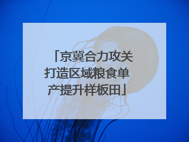 京冀合力攻关打造区域粮食单产提升样板田