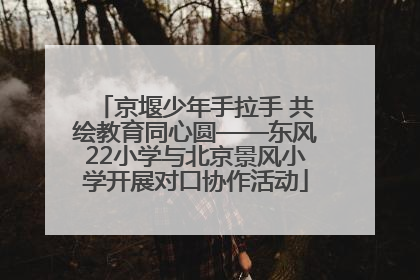 京堰少年手拉手 共绘教育同心圆——东风22小学与北京景风小学开展对口协作活动