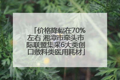 价格降幅在70%左右 湘潭市牵头市际联盟集采6大类创口敷料类医用耗材
