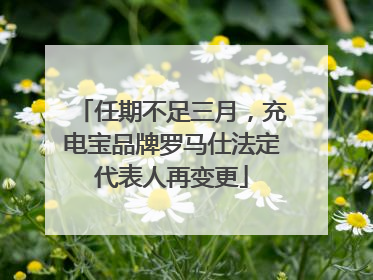 任期不足三月，充电宝品牌罗马仕法定代表人再变更