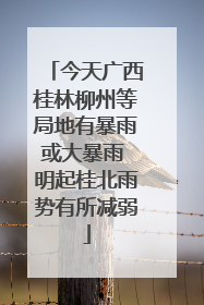 今天广西桂林柳州等局地有暴雨或大暴雨 明起桂北雨势有所减弱