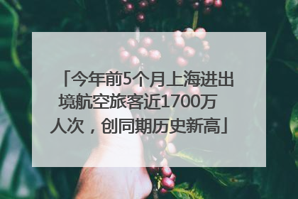 今年前5个月上海进出境航空旅客近1700万人次，创同期历史新高