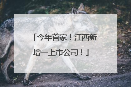 今年首家！江西新增一上市公司！
