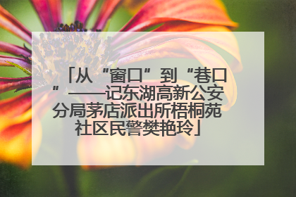 从“窗口”到“巷口”——记东湖高新公安分局茅店派出所梧桐苑社区民警樊艳玲