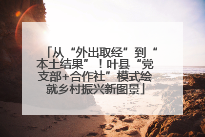 从“外出取经”到“本土结果”！叶县“党支部+合作社”模式绘就乡村振兴新图景