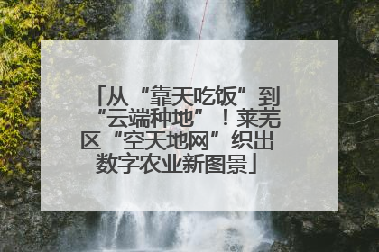 从“靠天吃饭”到“云端种地”！莱芜区“空天地网”织出数字农业新图景
